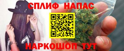 МДПВ Пугачёв