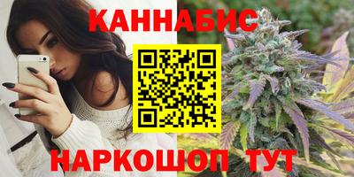 МДПВ Пугачёв