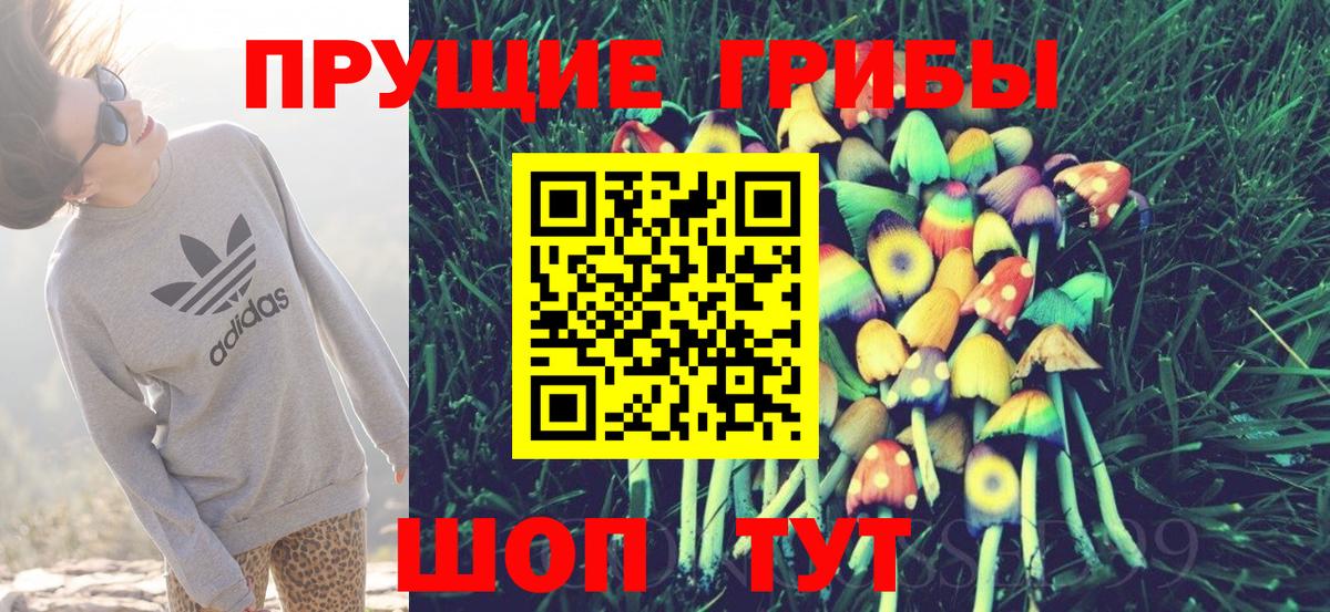 Галлюциногенные грибы MAGIC MUSHROOMS  Галлюциногенные грибы прущие грибы  Вход с VPN  Сегежа 